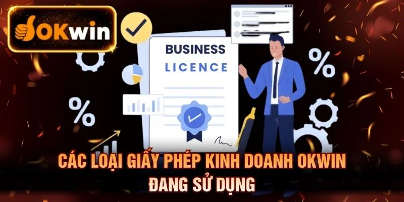 Các loại giấy phép kinh doanh OKWIN đang sử dụng